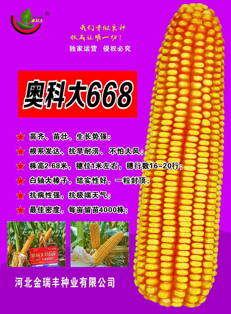 001.jpg