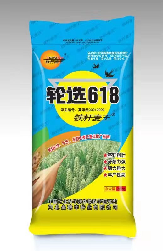 輪選618.jpg
